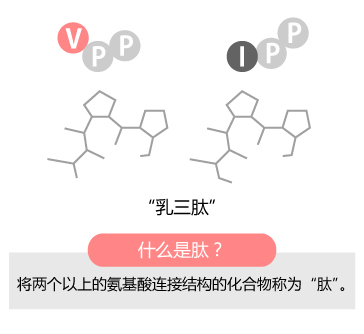 什么是肽？