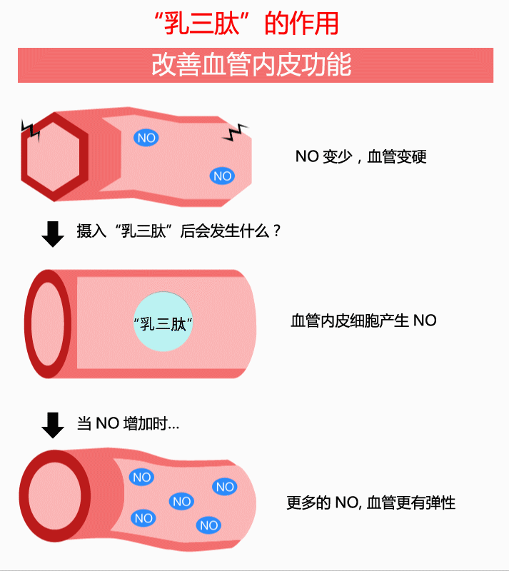 “乳三肽”的作用