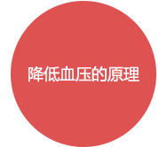 降低血压的原理
