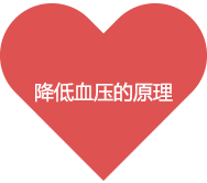 降低血压的原理