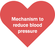 Mechanism to reduce blood pressure