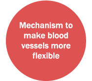 Mechanism to make blood vessels more flexible